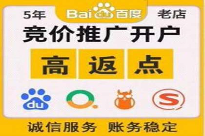 探索百度推广代运营公司的服务模式与优势
